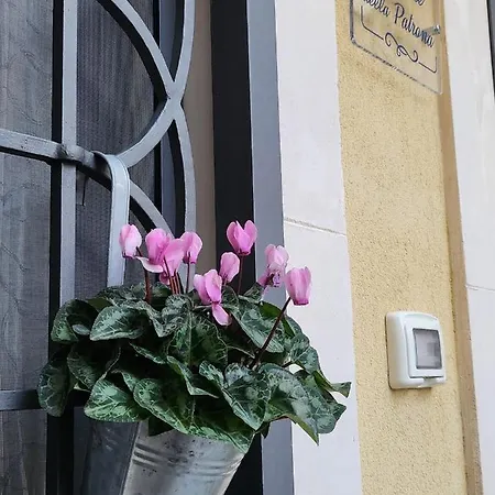 Il Cortile Della Patrona Apartament