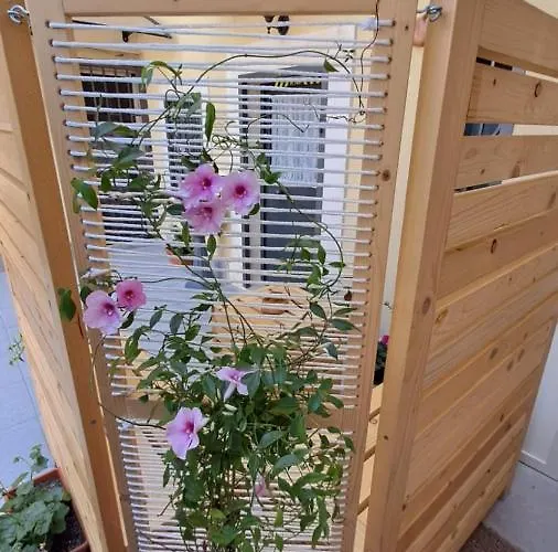 Il Cortile Della Patrona