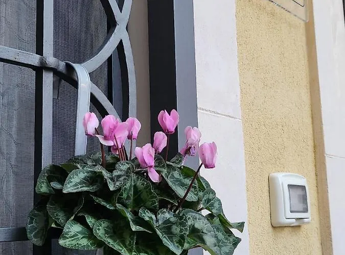 Il Cortile Della Patrona Appartement